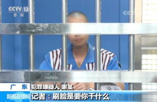 掩隐罪刷脸标准的全面解读