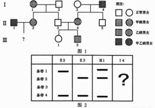 一、召唤阵的基础原理