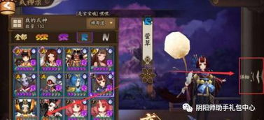 一、SSR式神概述