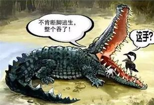 一、鳄鱼的技能解析与应用