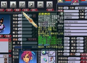 一、DT角色属性概述