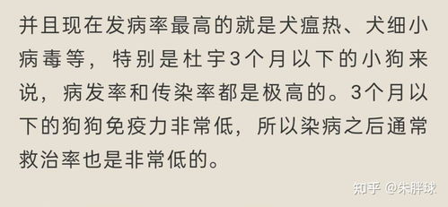 一、什么是我的世界种子？