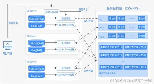 一、了解存档结构与备份方法