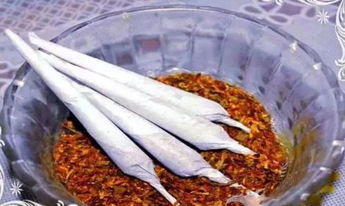 一、选择初始口袋妖怪