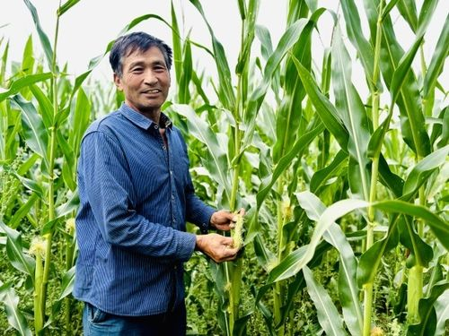 一、丰收的季节活动介绍