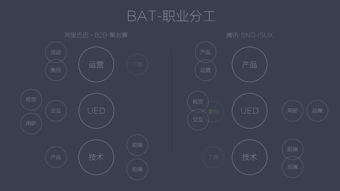 一、基础属性加点