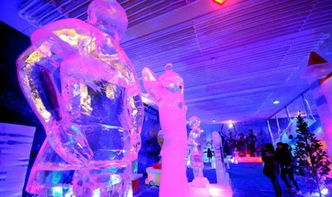 一、冰雪舞会主题解析