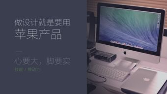 一、安装与设置