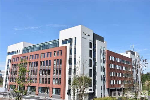湖南汽车工程职业学院,专业汽车教育-卓越教学与就业前景解析