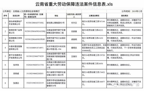 湖南人力资源和社会保障厅,职能解析与服务指南-全面了解与高效利用
