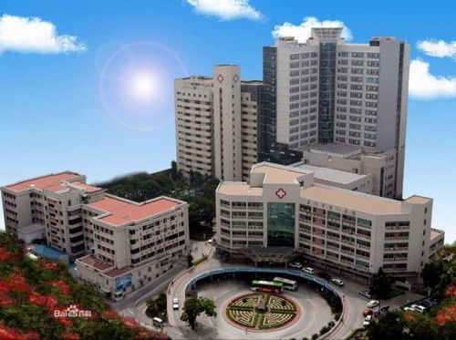 长沙市，湖南的璀璨明珠-湖南省会解析