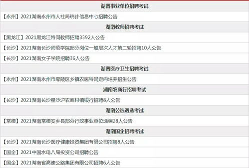 湖南省人事考试网,全面解析其功能与使用技巧-考试报名指南