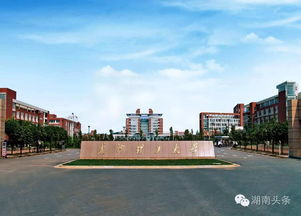 湖南大学图书馆,历史与现代化的完美融合-深度探访与体验分享