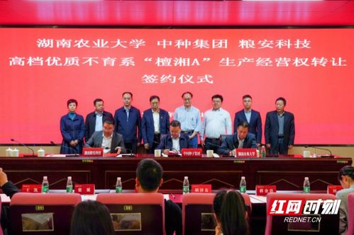 湖南农业大学,教育卓越与科研创新-人才培养新篇章