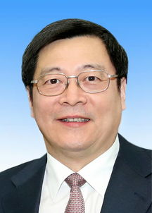 湖南省长,领导力与治理策略-区域发展新篇章
