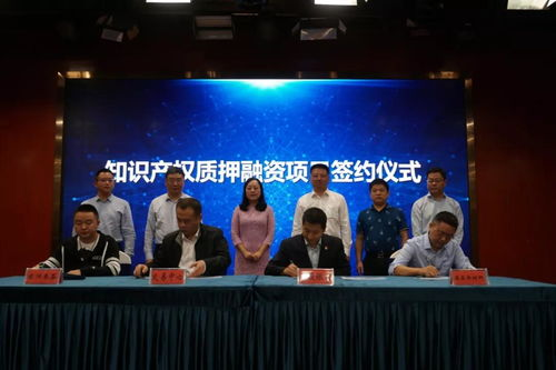 湖南省市场监督管理局,职能解读与经济促进作用-发展策略分析