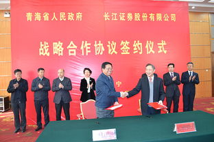 湖南省人民政府网,政务信息发布与在线服务的门户-功能与优化策略解析