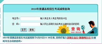 湖南高考查分网,高考成绩查询流程与常见问题解答