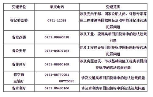 湖南招投标监管网,权威信息发布与监管平台-操作指南与作用分析