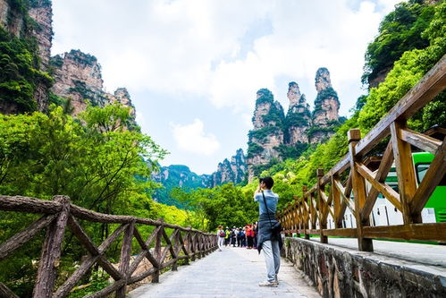 湖南张家界旅游,探索自然奇观-旅行攻略与体验分享