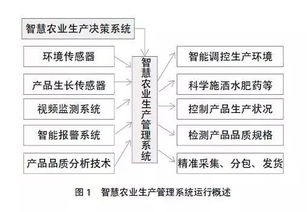 湖南省农业农村厅职能与工作重点解析-农业现代化推进策略