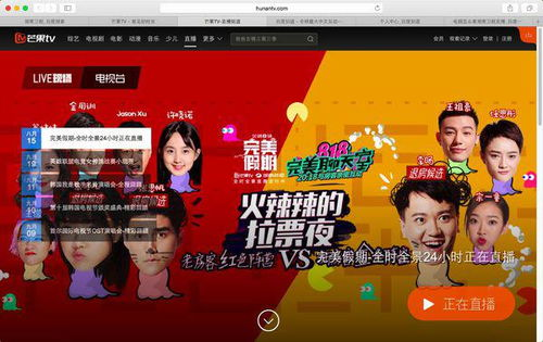 湖南卫视在线直播网,实时观看热门节目-观看指南与优势分析