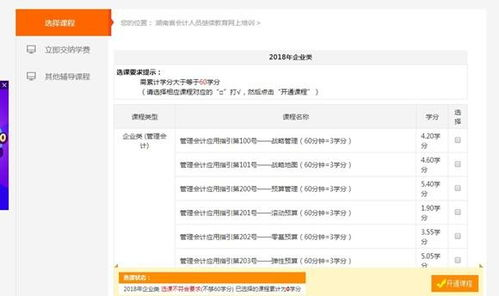 湖南会计信息网官网,全面掌握会计行业动态-使用指南解析