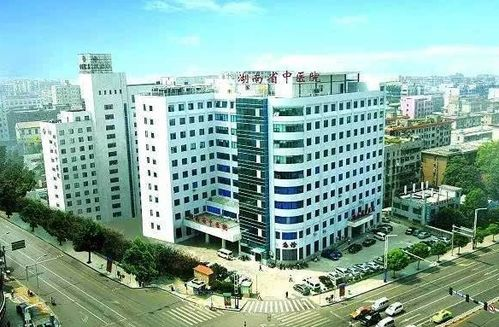 湖南省结核病医院,专业结核病治疗机构-医疗服务与特色治疗手段解析