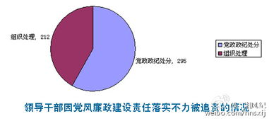 湖南纪委,深化反腐倡廉-工作职能与成效解析