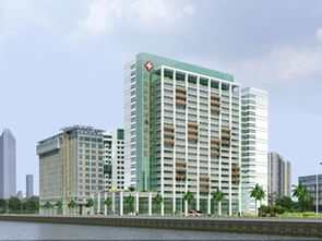 湖南省第三人民医院,医疗实力与人文关怀的完美结合-深度解析