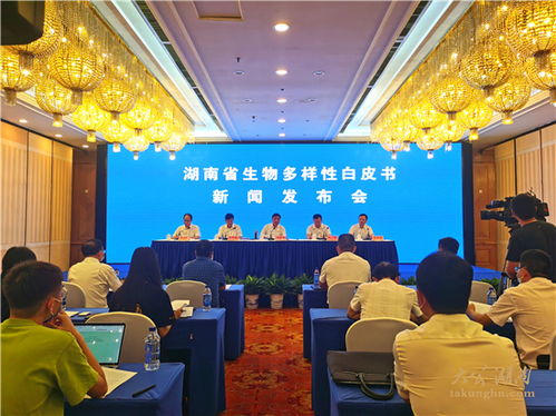 湖南大学出版社,学术出版领域的佼佼者-发展历程与图书特色分析
