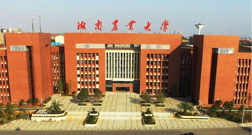 湖南农业大学继续教育学院,成人教育卓越选择-全面解析学院特色与优势