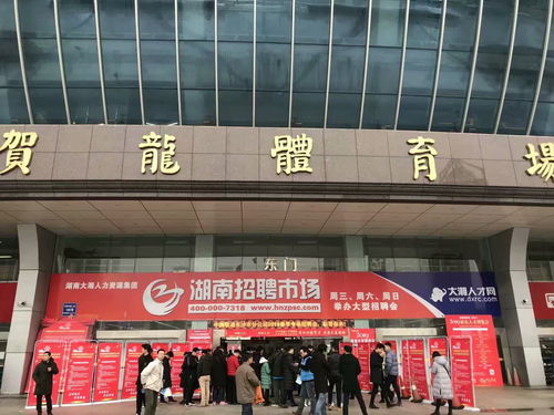 湖南省人力资源服务中心,助力人才发展-功能与服务解析