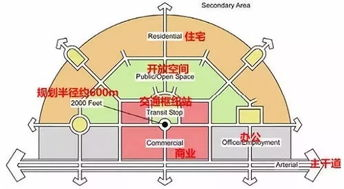 湖南省新华书店有限责任公司,文化传承与创新-业务发展与服务特色解析