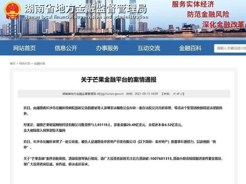 湖南建研信息技术股份有限公司,技术创新与行业引领-业务发展剖析