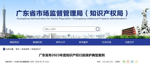 湖南省市场监督-政策解读与实践应用分析