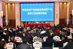 湖南扶贫,成效与挑战-探索可持续发展之路
