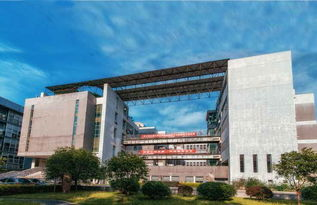 湖南知名大学一览,学术实力与校园环境介绍-教育资源解析
