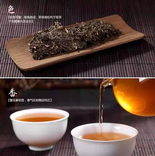 湖南益阳特产,探寻地道美食-特色产品一览