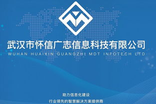 湖南软件公司,数字化转型助力者-技术创新与服务优势解析