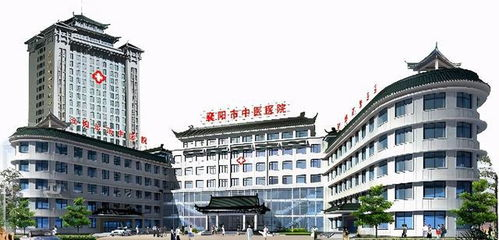 湖南省中医医院,卓越中医医疗服务-深入了解与养生之道