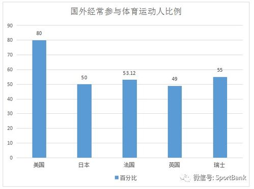 湖南体育产业集团,发展现状与市场机遇-战略布局分析