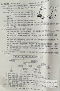 湖南衡阳中考时间及备考策略解析