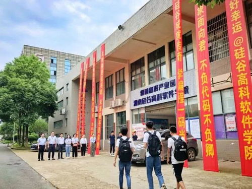 湖南软件技术学院,培养未来软件技术精英-教育质量与就业前景分析