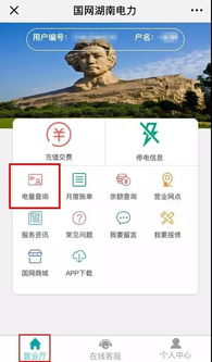 湖南电网电费查询，轻松掌握用电详情-详细步骤解析