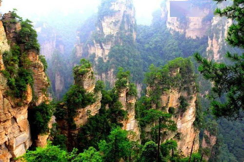 湖南张家界旅游景点大全-探索自然奇观之旅