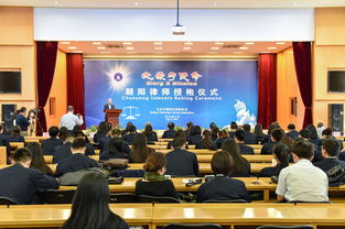 湖南律师协会官网,全面服务湖南律师行业-功能与操作指南