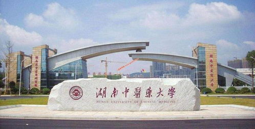湖南大学校庆日,百年学府的庆典盛宴-庆祝活动详解