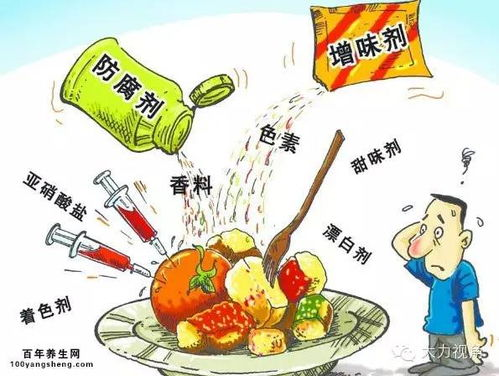 湖南双娇食品有限公司,品牌故事与市场战略解析