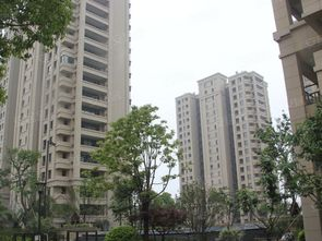 湖南湘西龙山县楼盘，投资与居住的优质选择-市场现状与购房指南